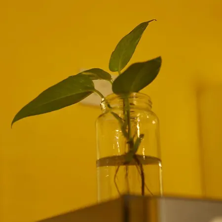 Adinkra Suits Apartment Balzan